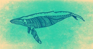 whale (1)